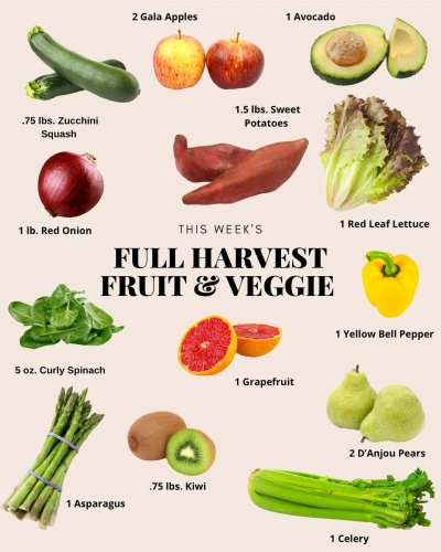 Photo post from farmbox_arizona.