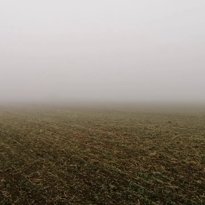 Video post from crowmarshbattlefarms.