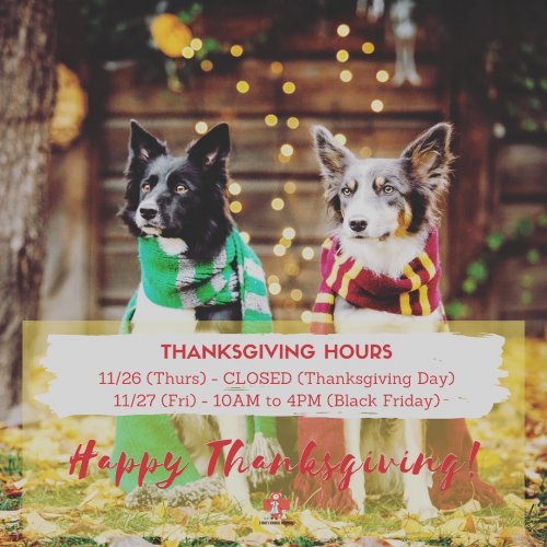 Photo post from familyanimalhospitalcm.