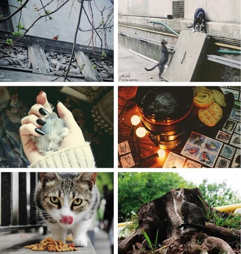 Carousel post from ira.martelo.