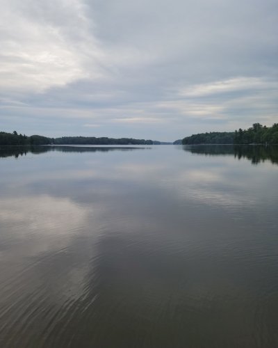 Photo post from reddogguideservice.