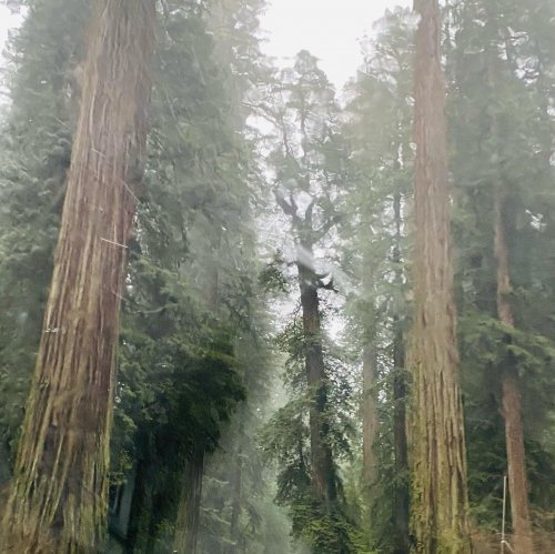 Carousel post from freyaetthor.