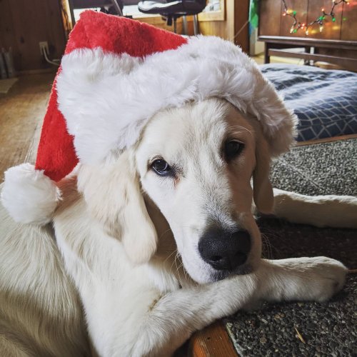 Photo post from hungryhollowfarm.