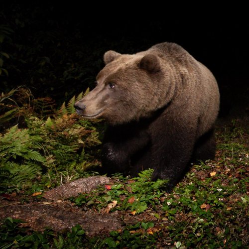 Photo post from taucktravel.