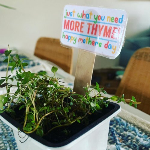 Photo post from counterpoint_digital.