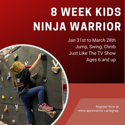 Photo post from apexwarriorfitness.