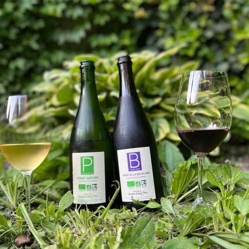 Photo post from dandywineshop.