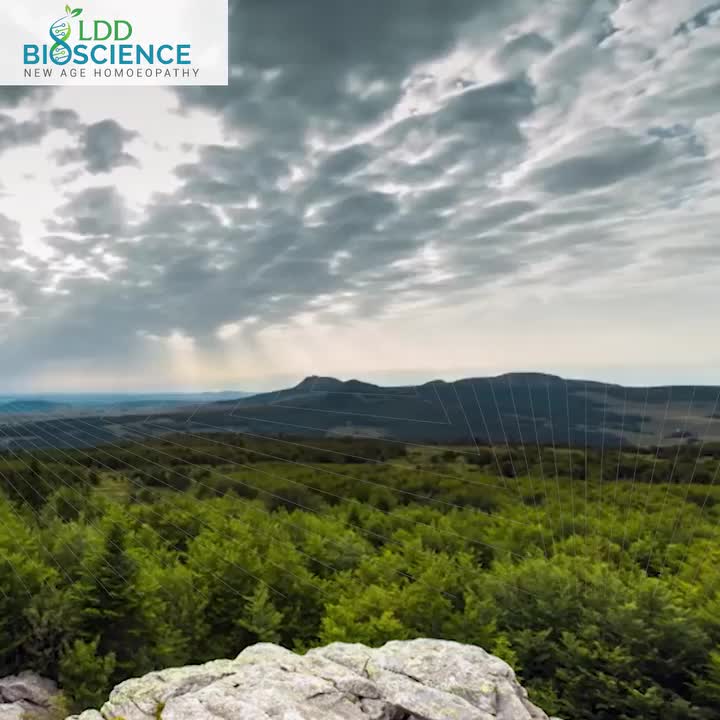 Video post from lddbioscience.