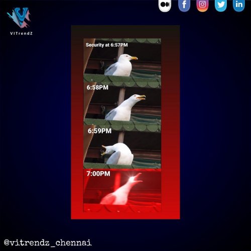 Photo post from vitrendz_chennai.