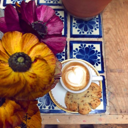 Photo post from equianocoffee.