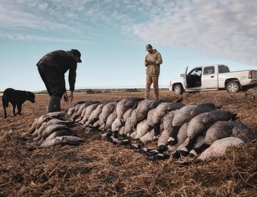 Photo post from northernskiesoutfitters.