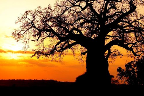 Photo post from taucktravel.