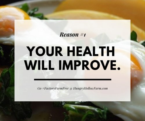 Photo post from hungryhollowfarm.