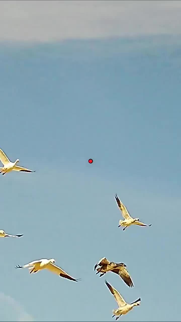 Video post from northernskiesoutfitters.