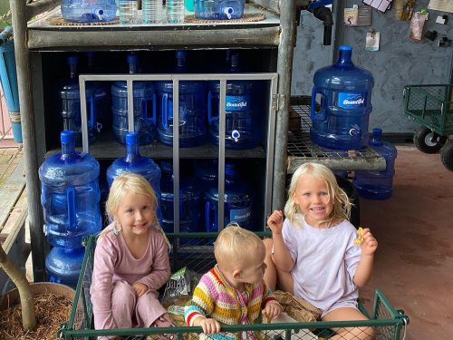 Photo post from currumbinvalleyharvest.