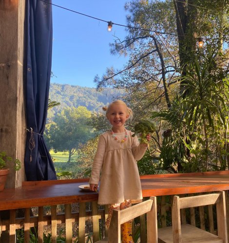 Photo post from currumbinvalleyharvest.