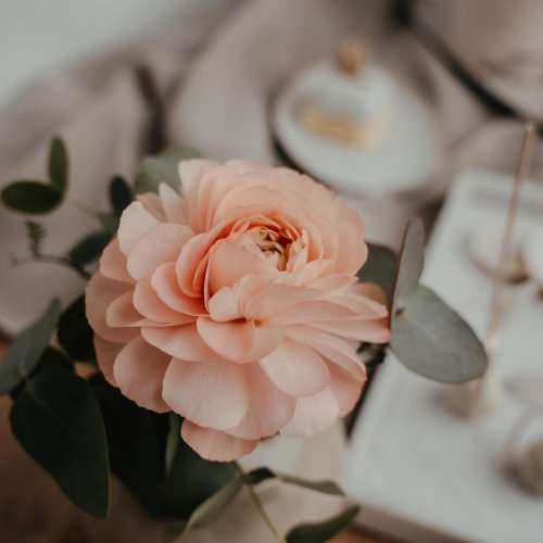 Photo post from suesseboutique.