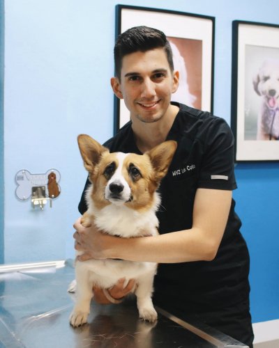 Photo post from medicalpettj.