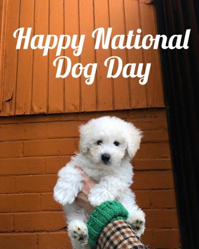 Photo post from familyanimalhospitalcm.