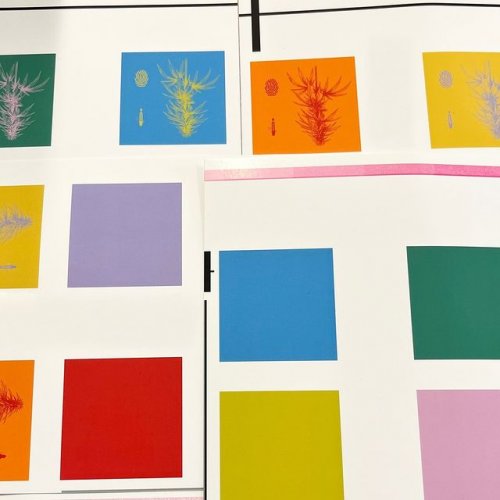 Photo post from hemp.bar.