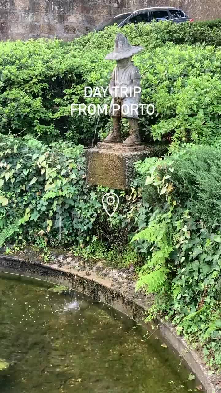 Video post from portorunningtours.