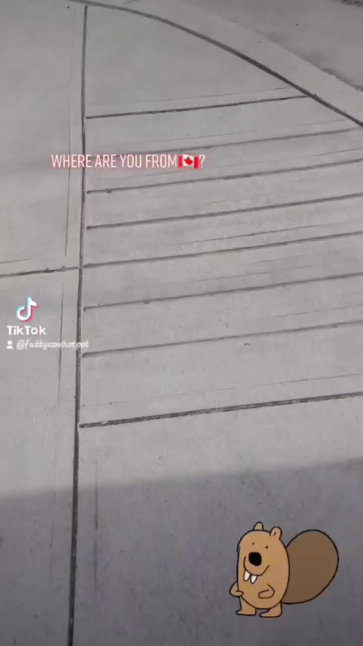 Video post from fattycowhotpot.