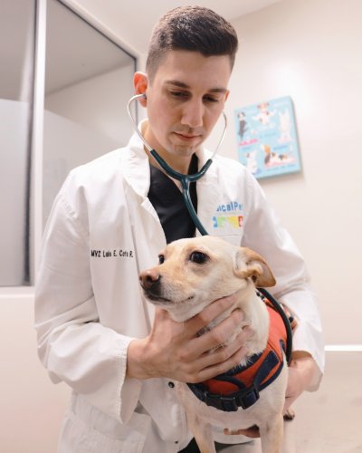 Carousel post from medicalpettj.