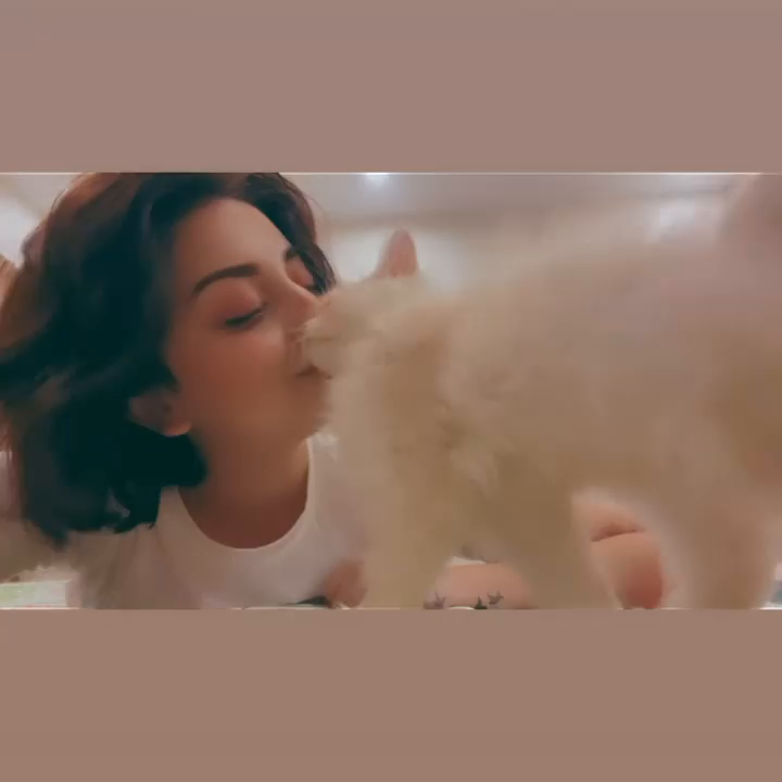 Video post from alizehshahofficial.