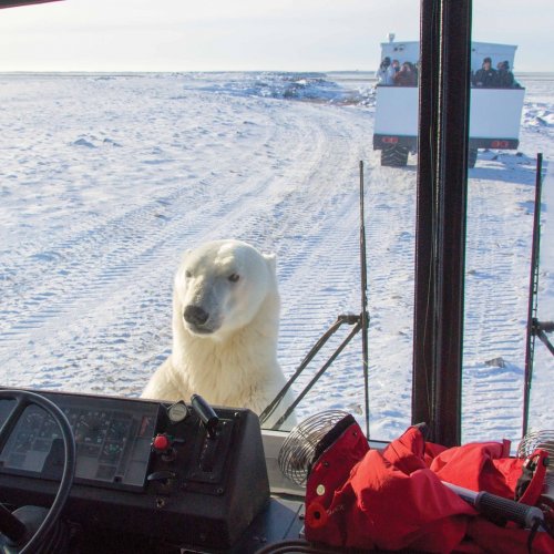 Photo post from taucktravel.