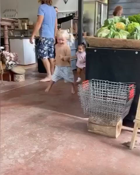 Video post from currumbinvalleyharvest.