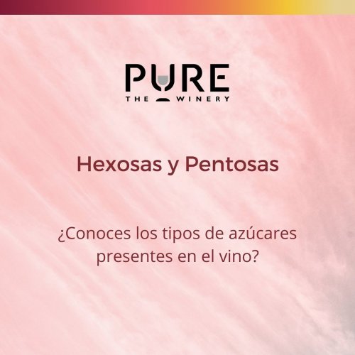 Carousel post from purethewineryes.