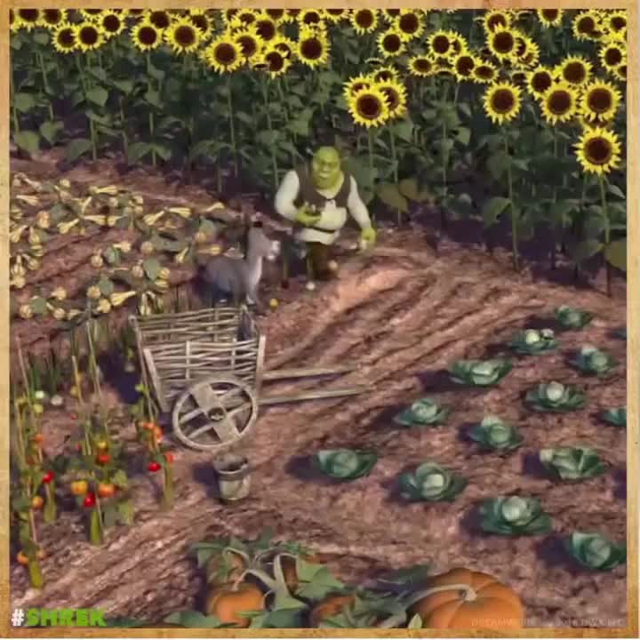 Video post from cachecountygis.
