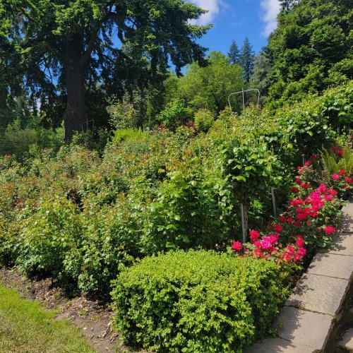 Carousel post from ashley.tiffanys.portland.