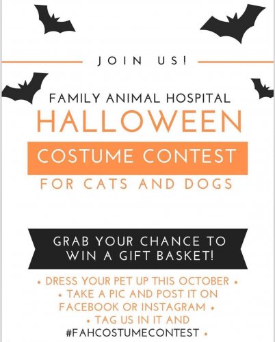 Photo post from familyanimalhospitalcm.