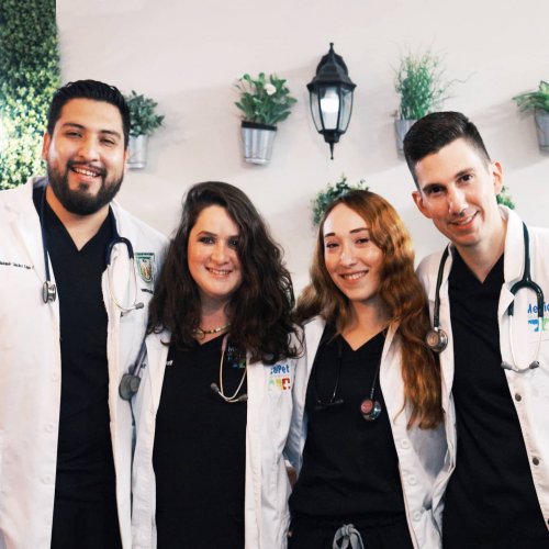 Photo post from medicalpettj.