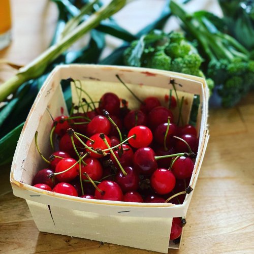 Photo post from freyaetthor.