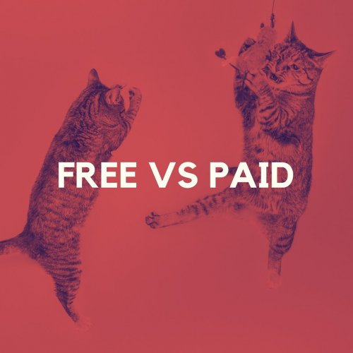 Photo post from counterpoint_digital.