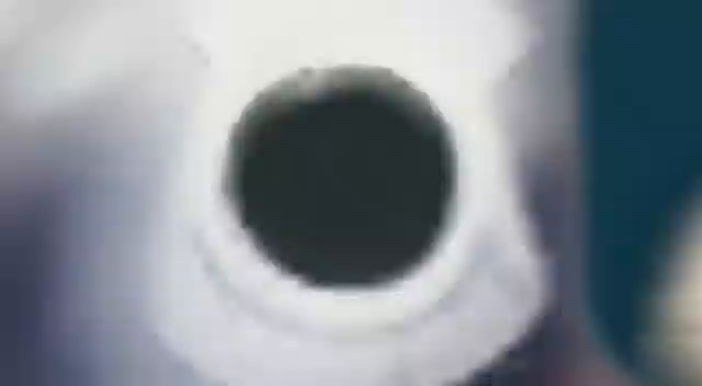 Video post from alizehshahofficial.