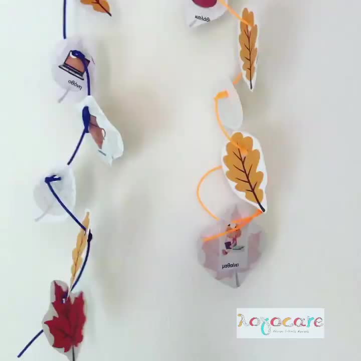 Video post from logocare_.