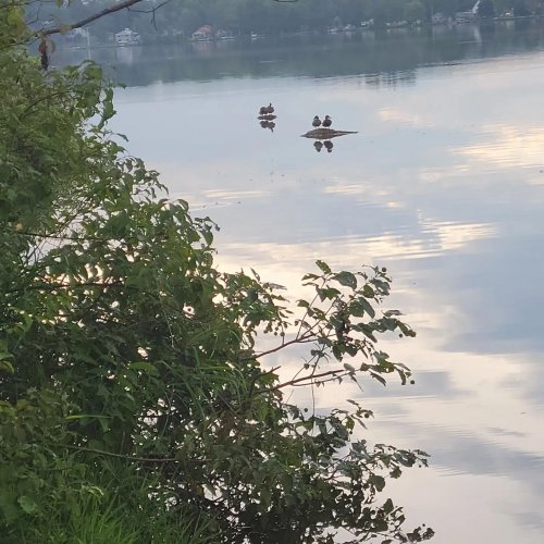 Photo post from reddogguideservice.