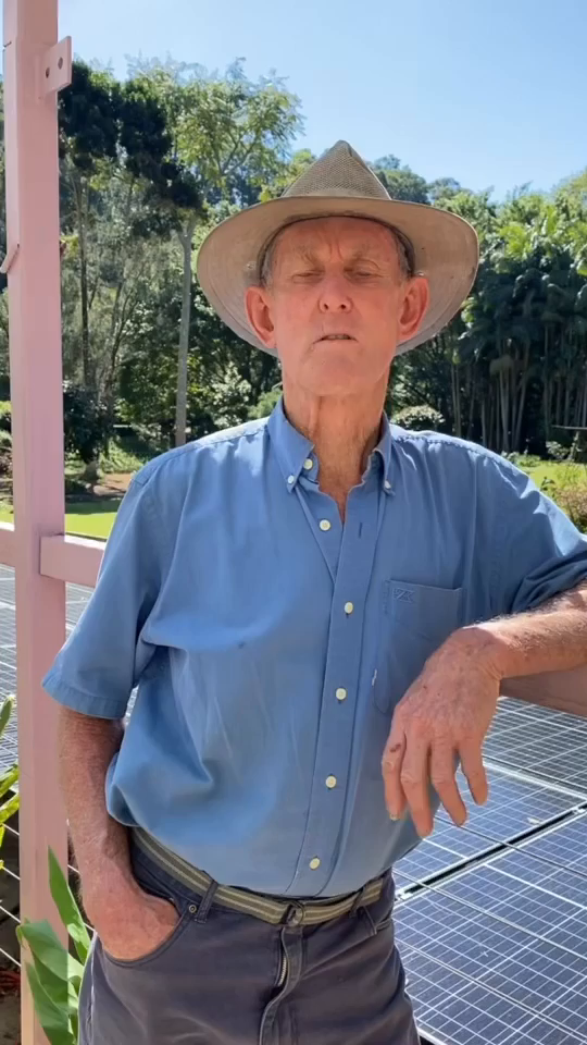 Video post from currumbinvalleyharvest.