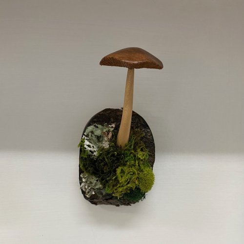 Carousel post from freyaetthor.