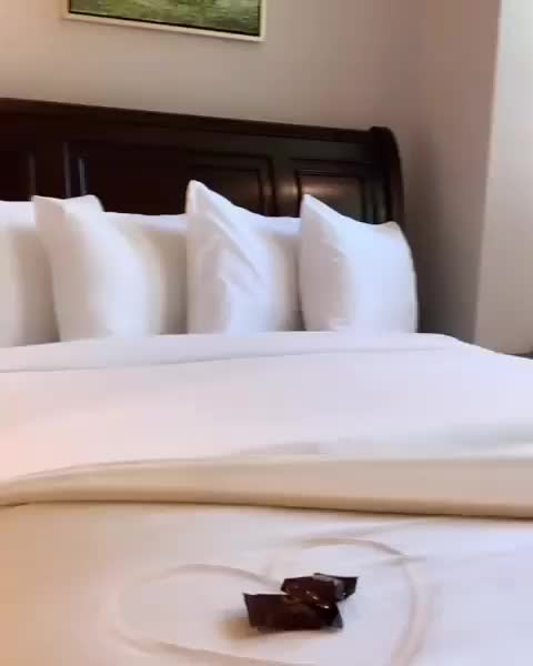 Video post from woodstonemanor.