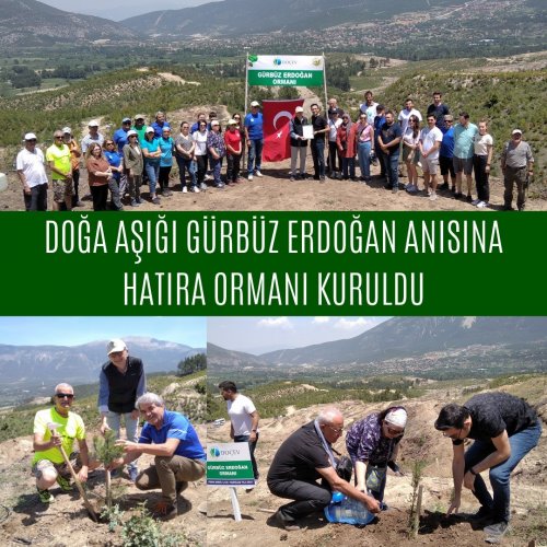 Photo post from dogavecevrevakfi.