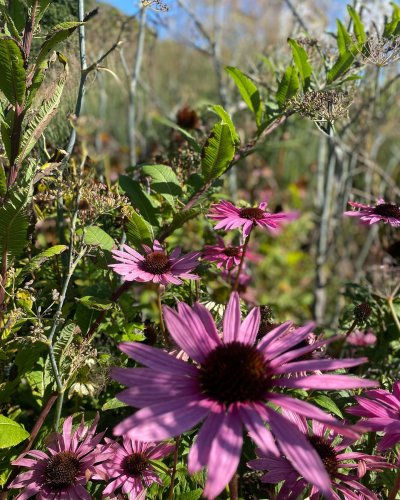 Photo post from sussexprairies.