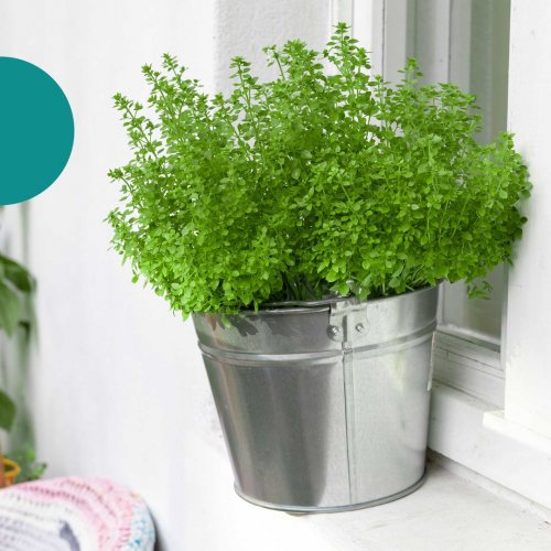 Photo post from ricardo_ch.fr.