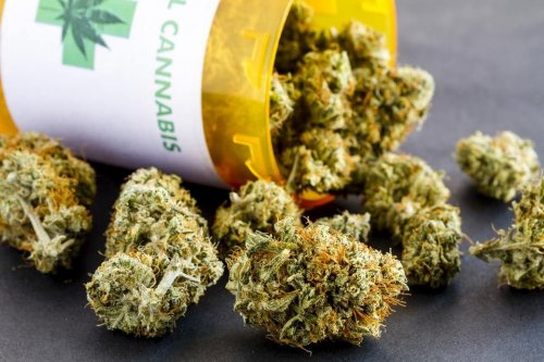 Photo post from kynorml.
