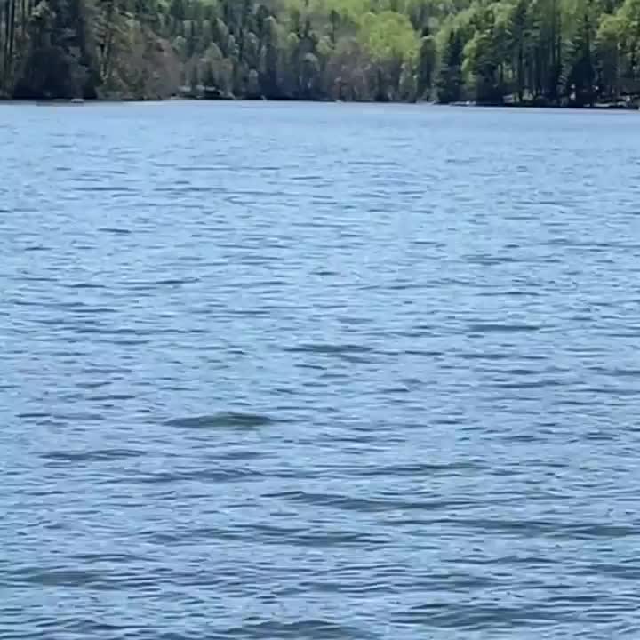 Video post from bhhsmmr.