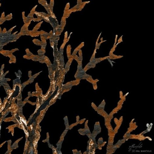 Carousel post from ira.martelo.