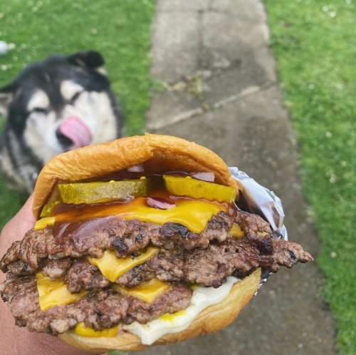 Photo post from oldyellamustard.